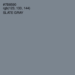 #7B8590 - Slate Gray Color Image